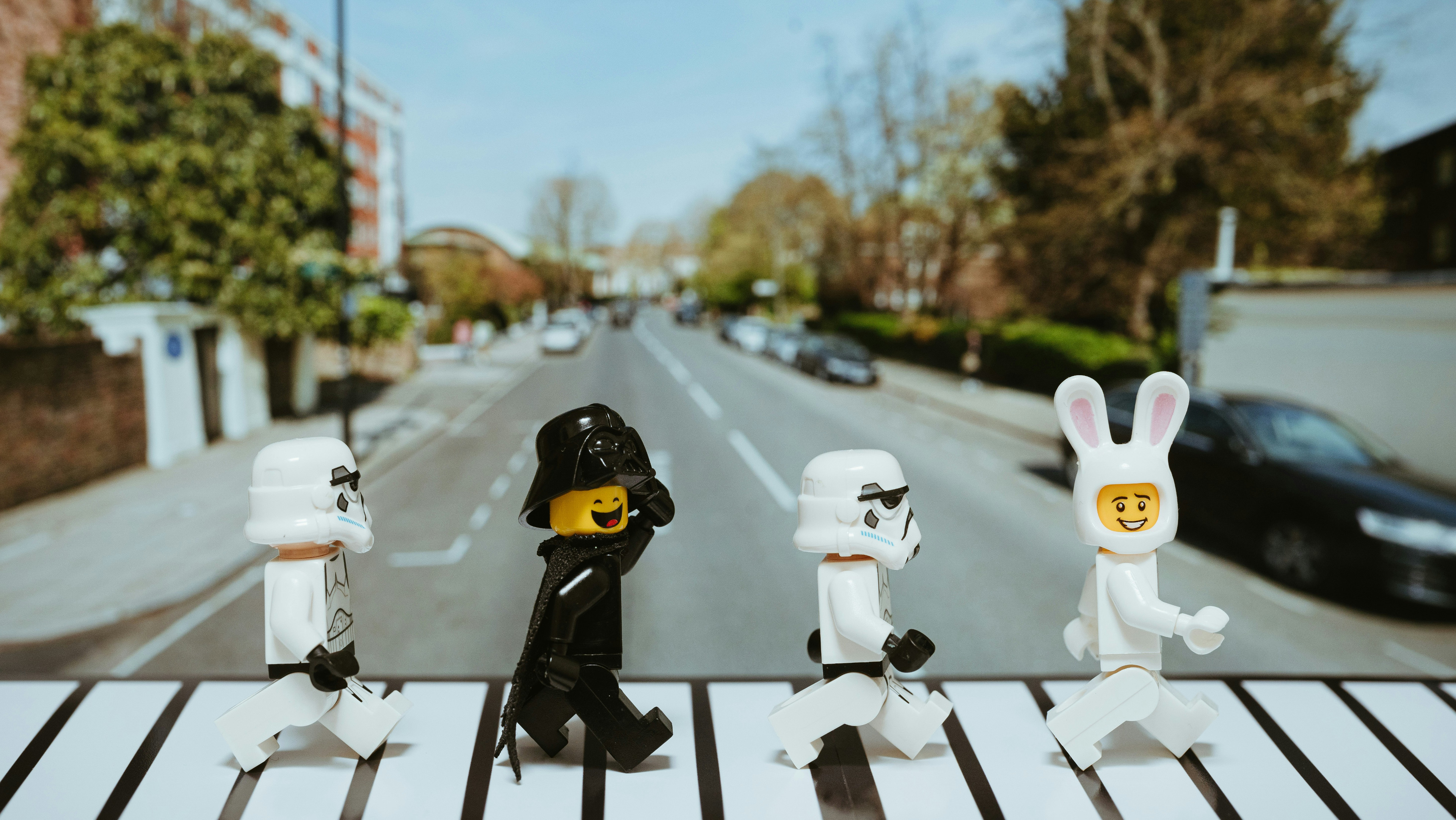 Funny Unsplash pic